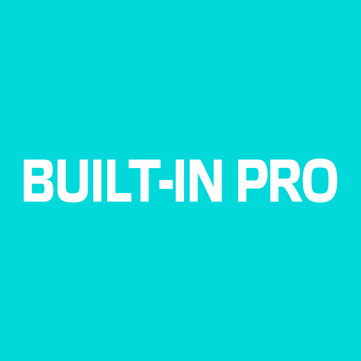 BUILT-IN PRO (即将开幕)